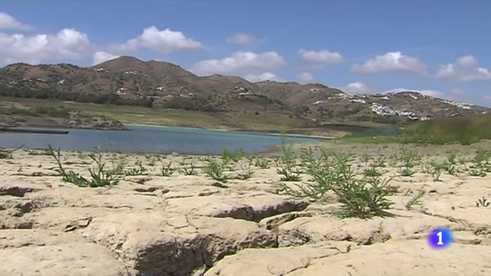Andalucía: restricciones de agua por la sequía -Ver ahora