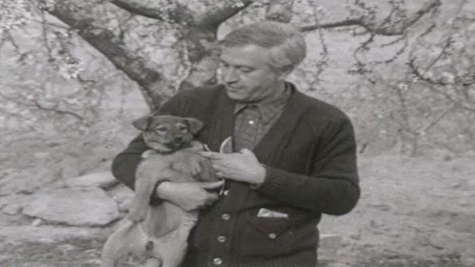 Arxiu TVE Catalunya - Tot art - El panorama cultural de la ciutat de Lleida