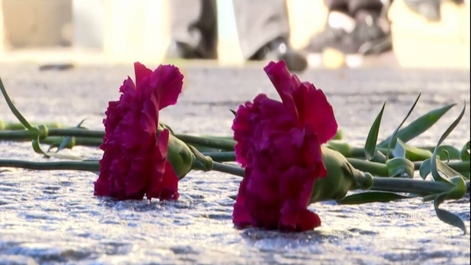 Dos mujeres asesinadas durante el fin de semana: una en La Rioja y otra en Valencia