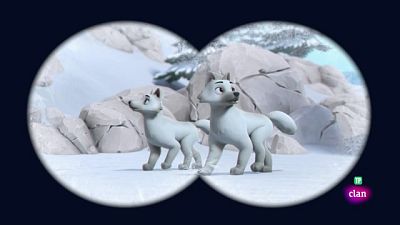 Pups save the white wolf 