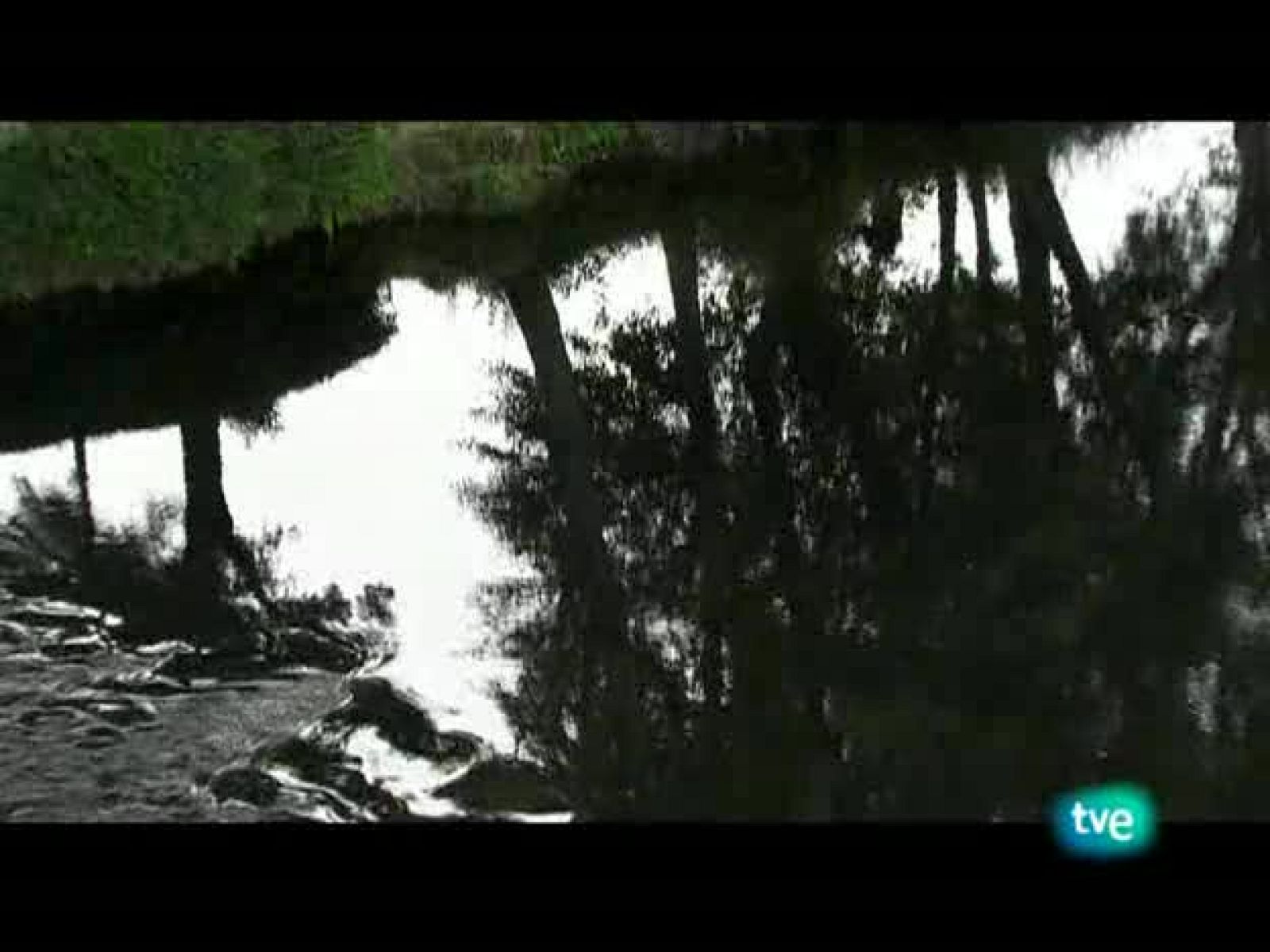 Nuestros caminos a Santiago - Camino ingles y marítimo - Nuestros caminos a Santiago | Ver