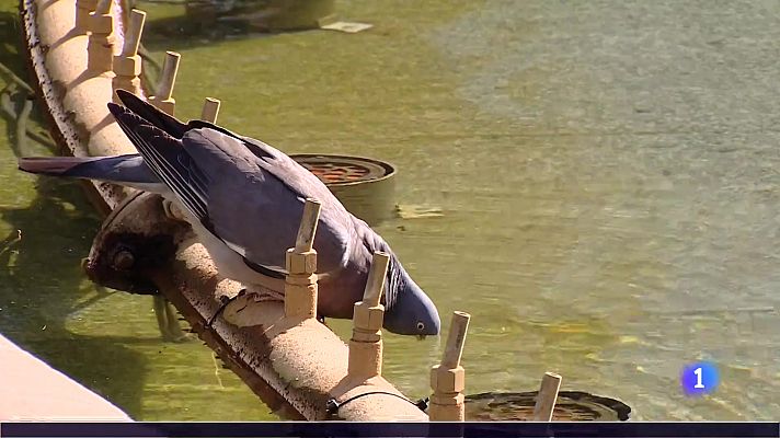 Informativo Telerioja - Informativo Telerioja  - 11/07/23