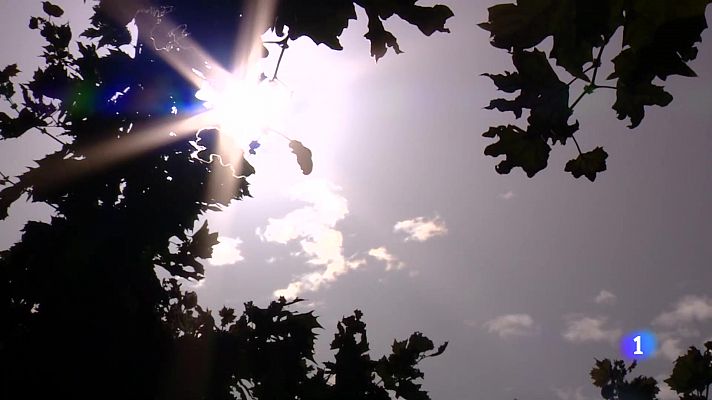 Informativo Telerioja - Informativo Telerioja 2 - 11/07/23