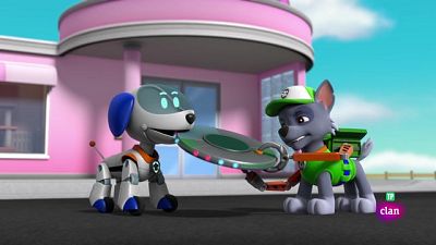 Pups Stop a Far Flung Flying Disc