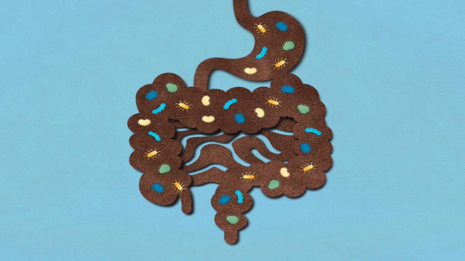 Cuida a tu microbiota, la fábrica de felicidad - Saber vivir | Ver