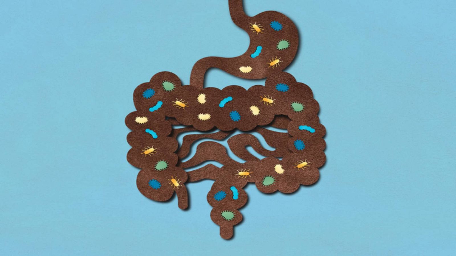 Cuida tu microbiota, la fábrica de tu felicidad 