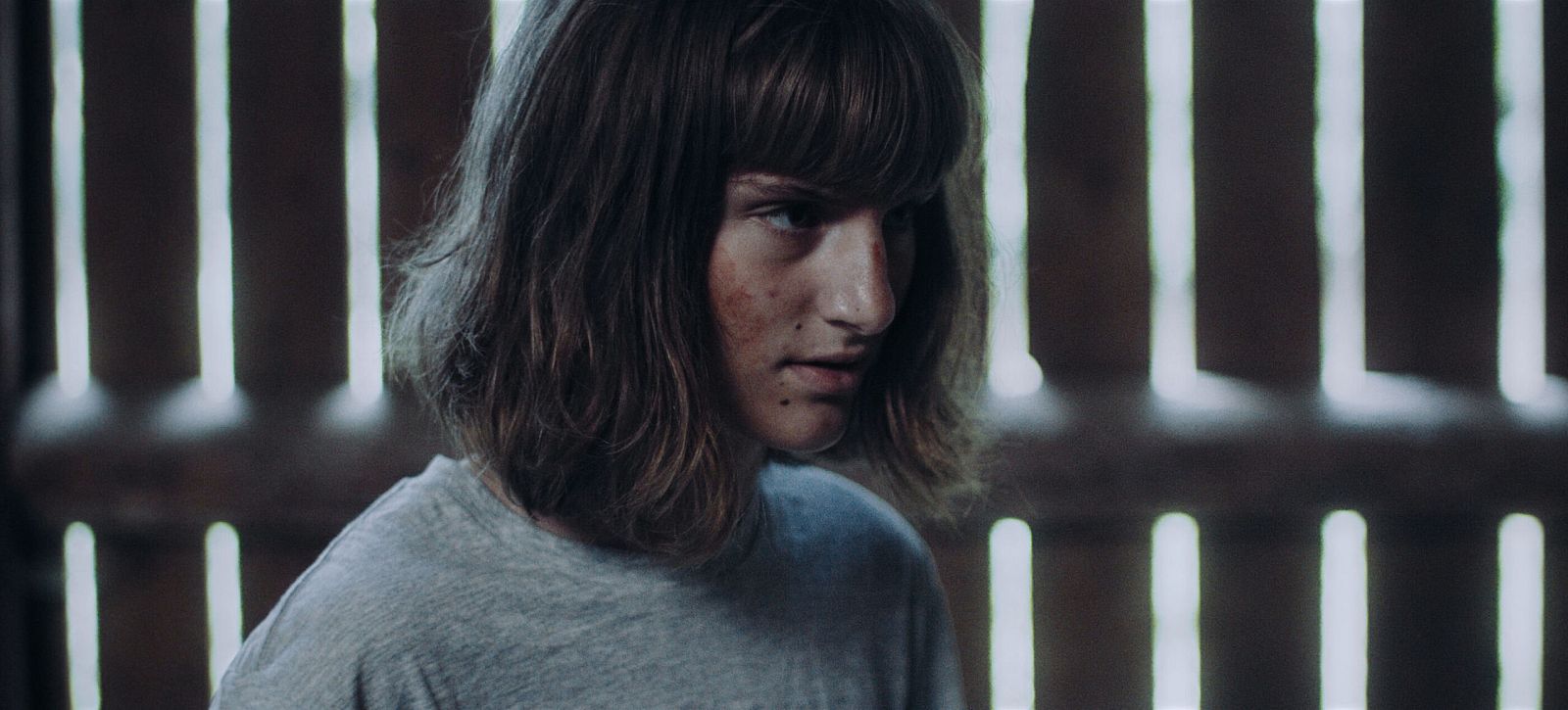 Días de Cine: Nada | Ver