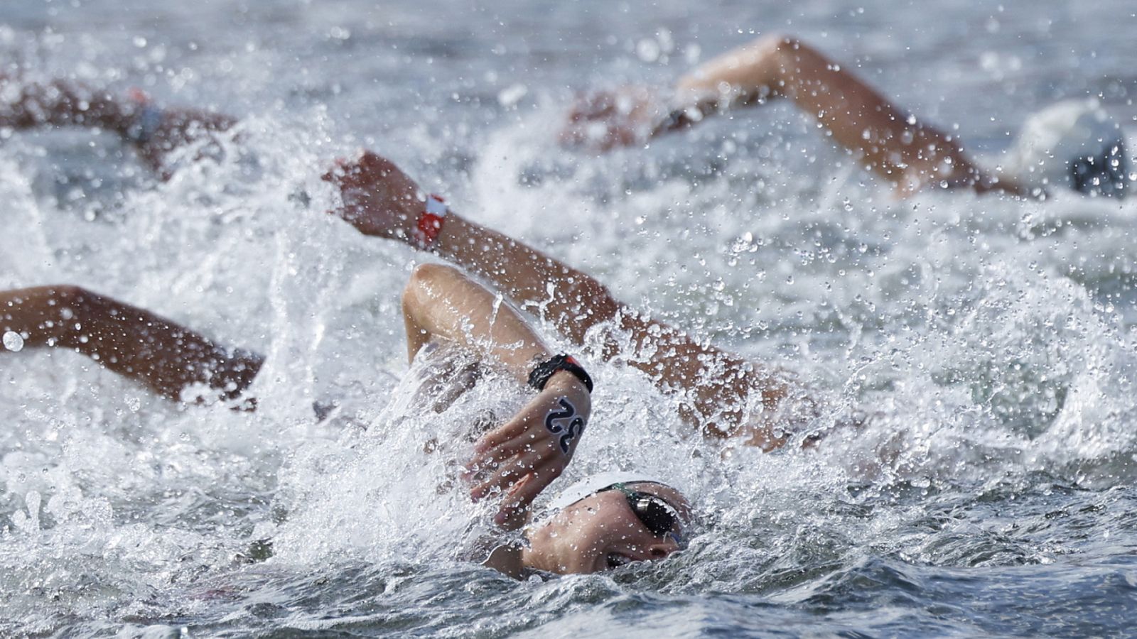 Natación: Campeonato del Mundo Aguas Abiertas 10 Km Femenino | RTVE Play