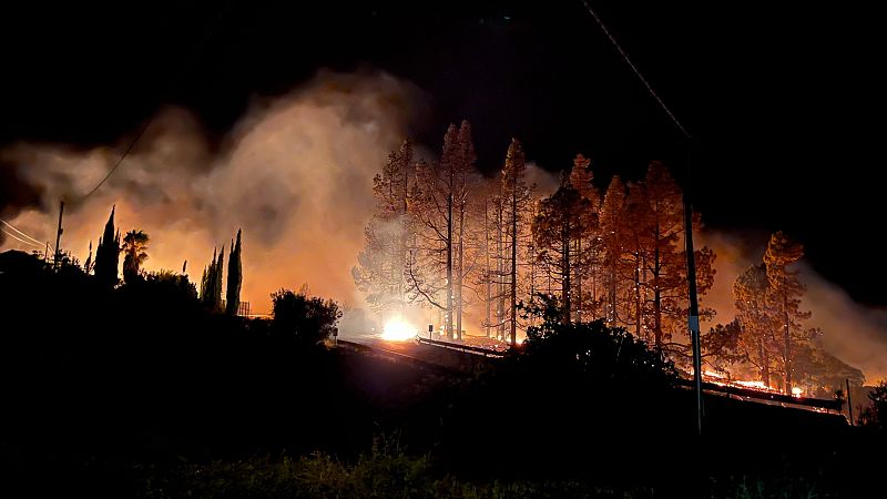 El incendio declarado este sbado en la Isla de la Palma afecta ya a 140 hectreas