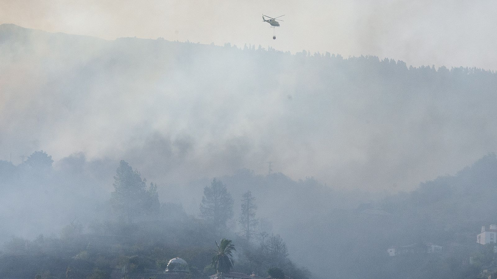 Incendio en La Palma: más de 200 hectáreas calcinadas