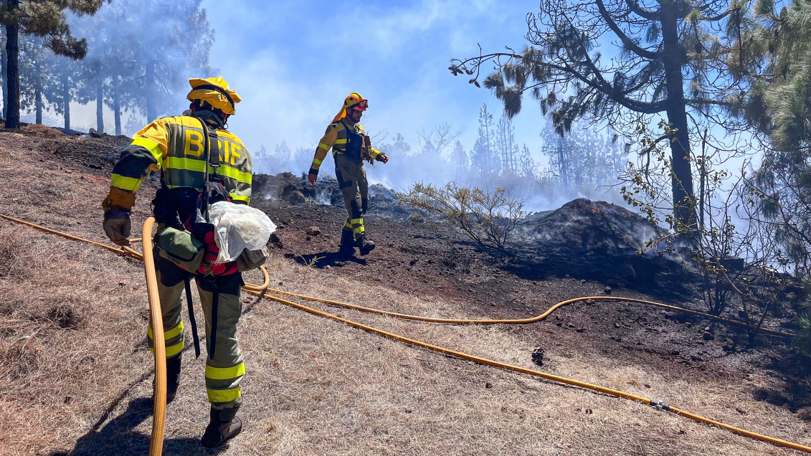 Telediario Matinal en 4' 16/07/2023 | Ver