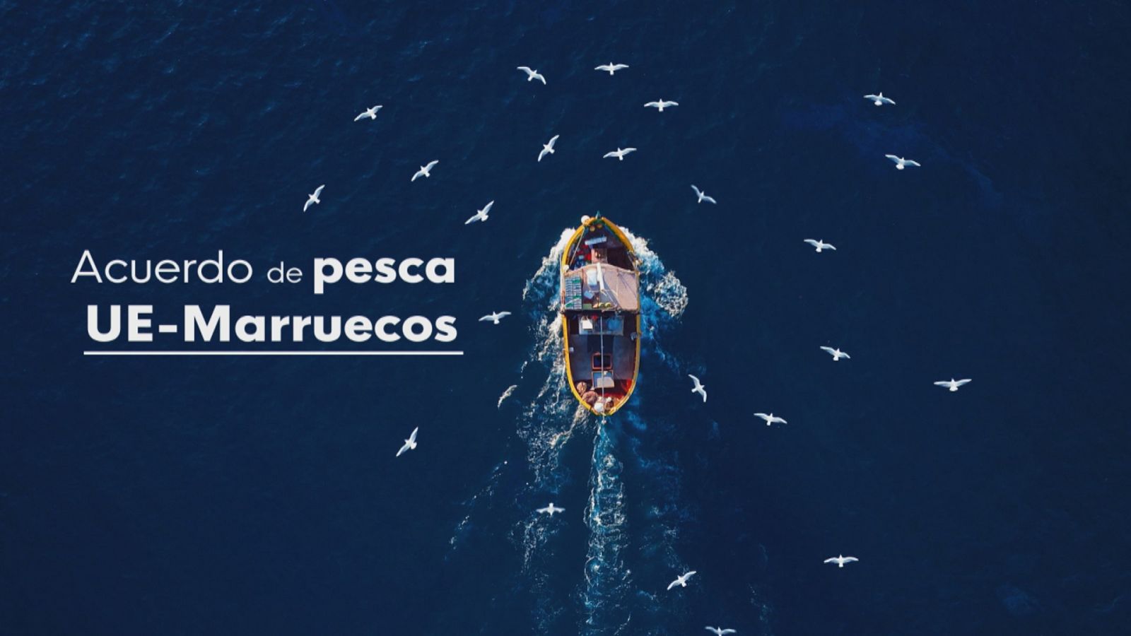 Fin al acuerdo de pesca con Marruecos - Ver ahora