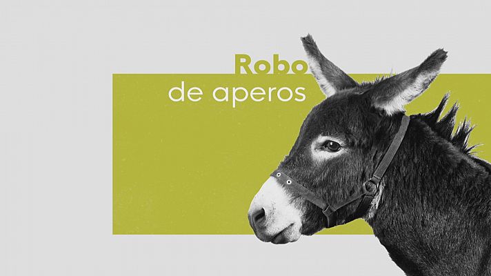 Robo en la Unidad de Burros Bomberos