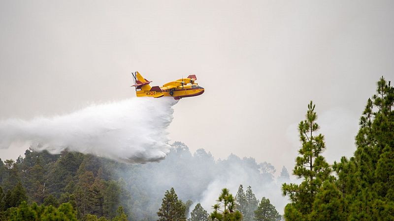 Día clave en la extinción del incendio de La Palma: la evolución es favorable en los flancos norte y sur - Ver ahora