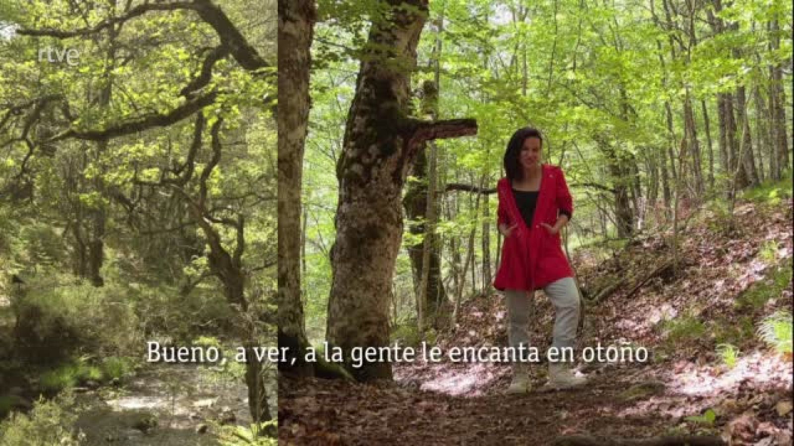 Sin programa: Jéssica - Cuidemos la naturaleza | RTVE Play