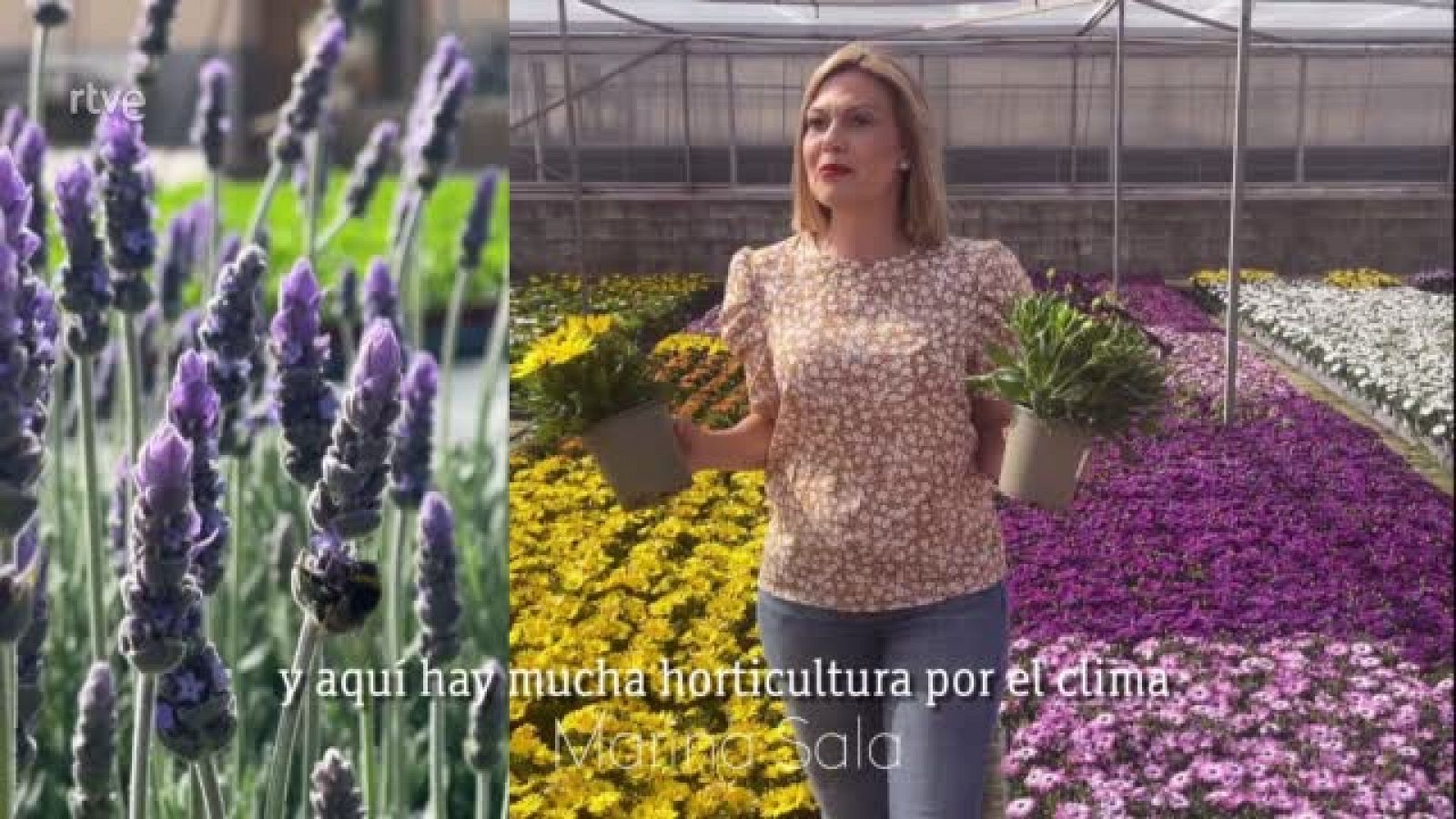 Sin programa: Marina - Cuidemos la naturaleza | RTVE Play