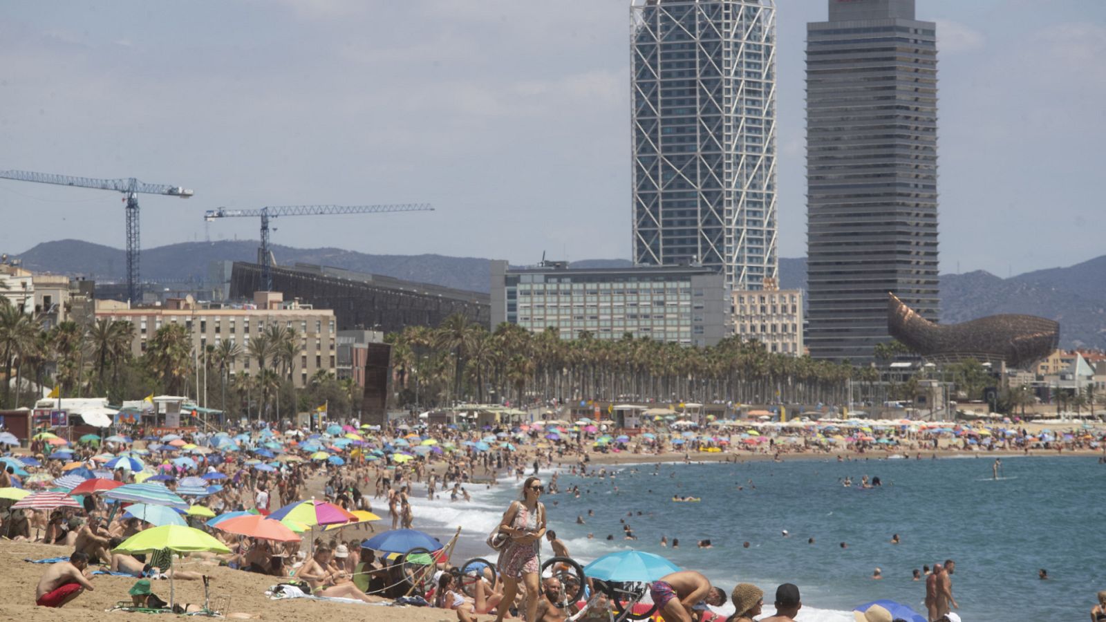 Diario 24 - 18/07/23 - ver ahora