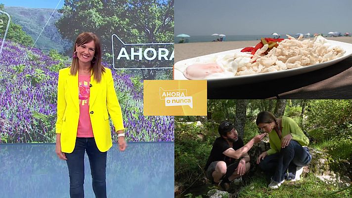 Ahora o nunca - Programa 125