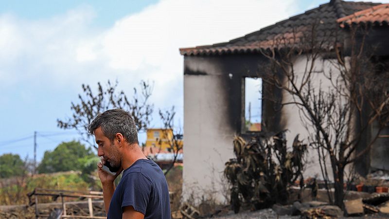 El incendio de La Palma tiene una evolucin "favorable"