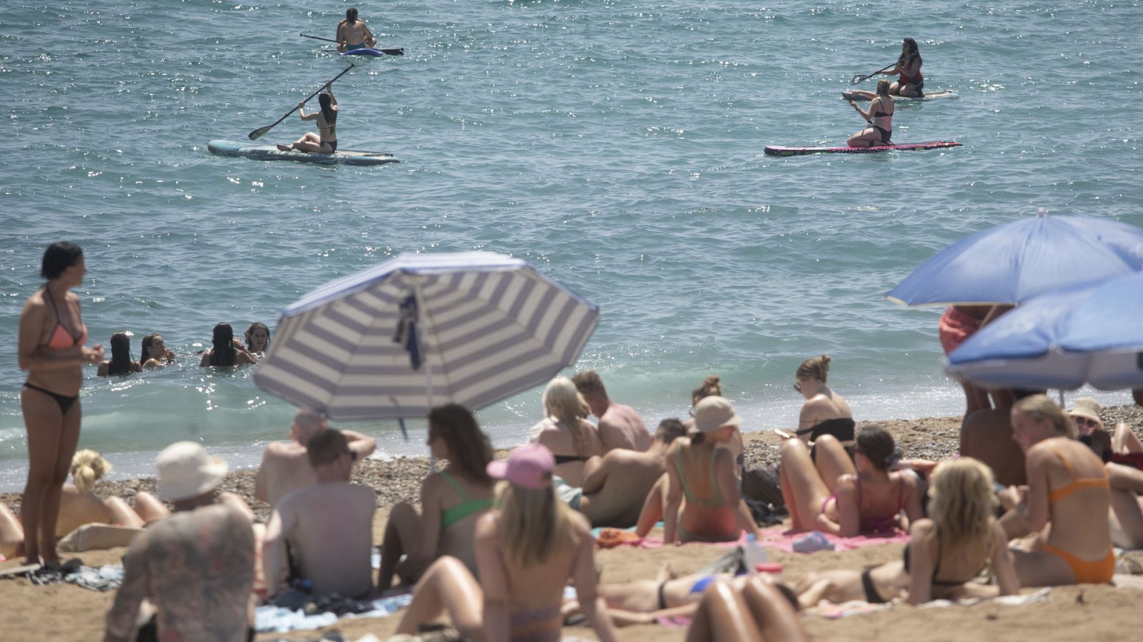 Telediario - 15 horas - 18/07/23 - ver ahora
