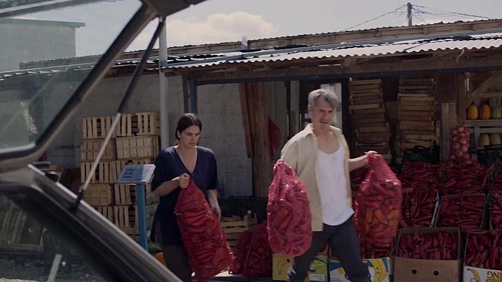 Colmena (presentación)