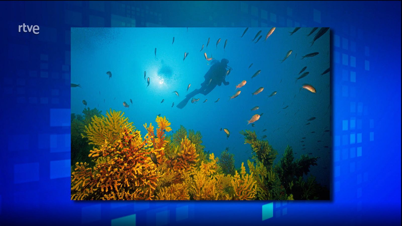 Saber y ganar. Edición de fin de semana - 23/07/23 - ver ahora