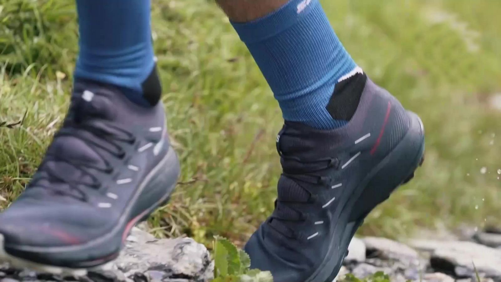 Evasión - Programa 14 - ver ahora