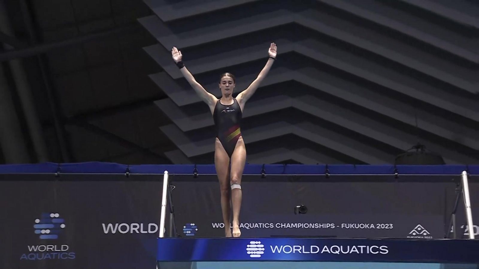 Natación artística - Campeonato del Mundo Saltos 10 mt. Femenino Final