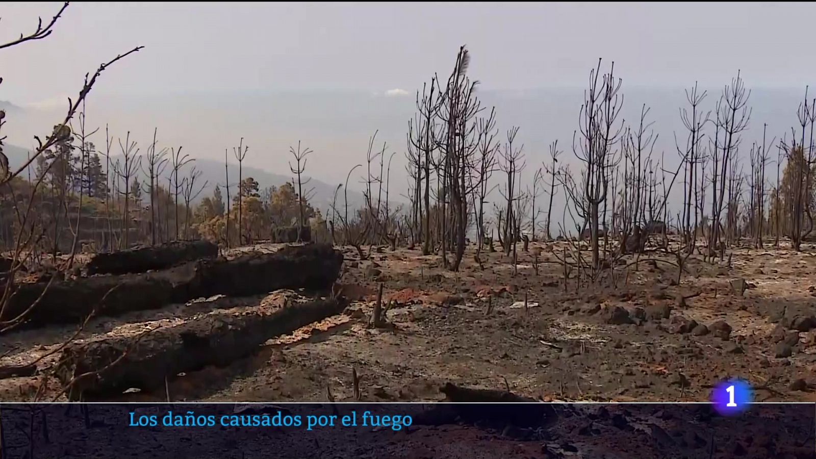 Telecanarias - 19/07/2023