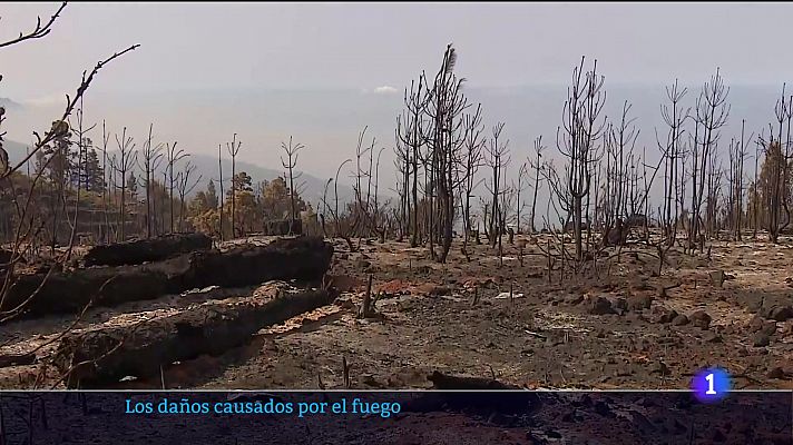 Telecanarias - Telecanarias - 19/07/2023