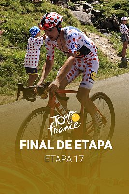 Tour de Francia - Gall gana la etapa reina; Vingegaard sentencia el Tour