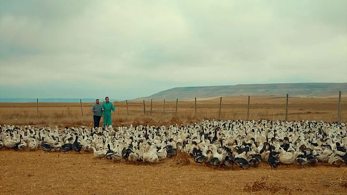 Las Rutas de... - Tierra de Campos