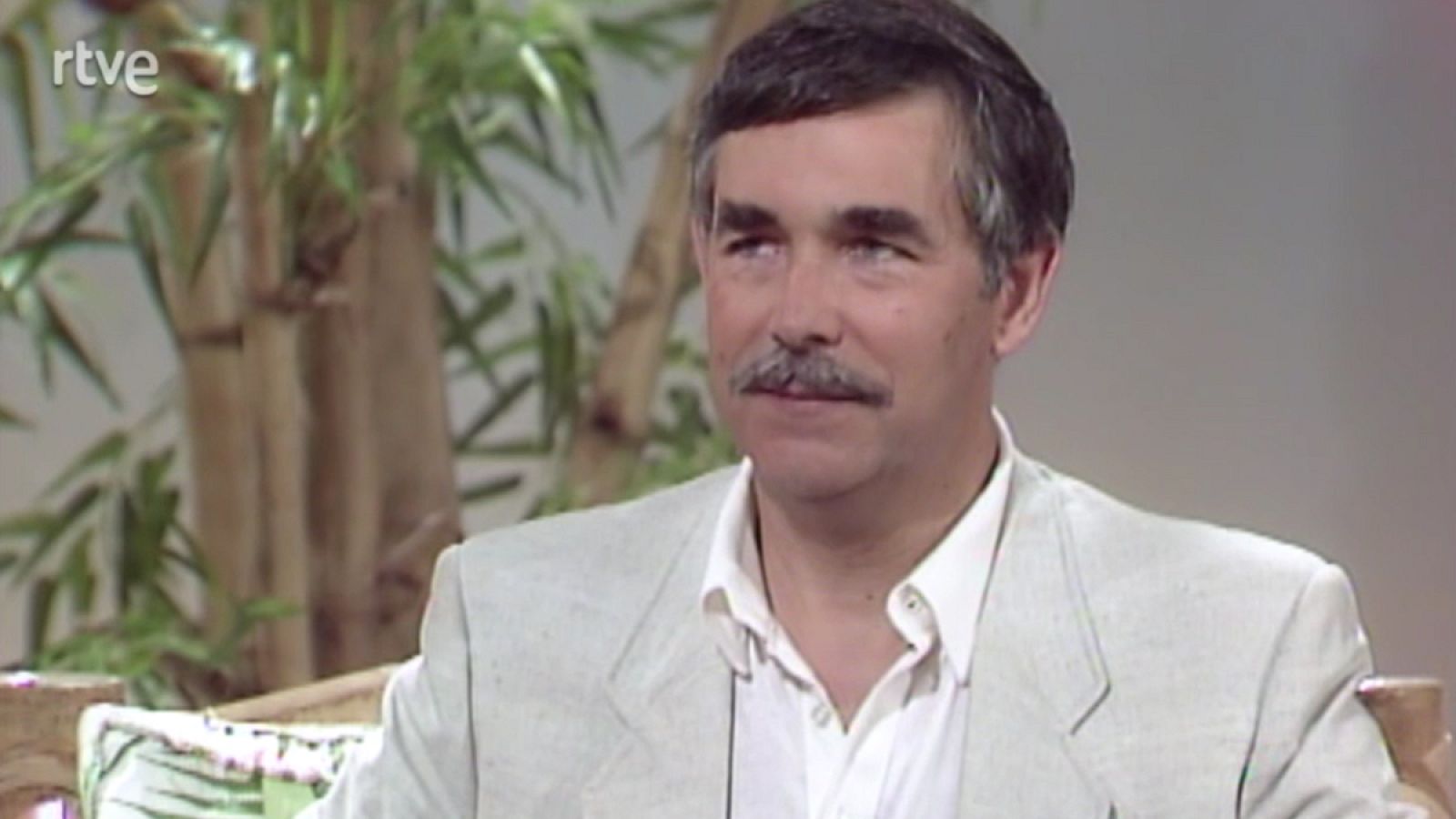 La tarde de un verano - 31/8/1989 - La tarde | Ver