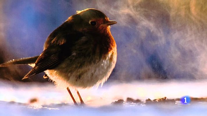 Informativo Telerioja - Informativo Telerioja  - 20/07/23