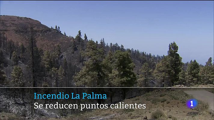 Telecanarias - Canarias en 2' - 20/07/2023