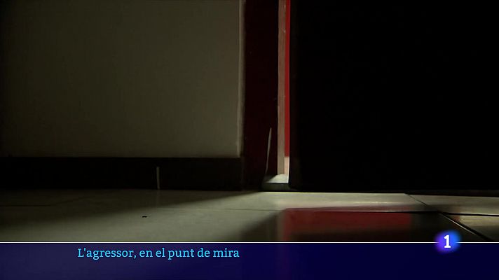 Nova àrea dels Mossos per analitzar perfils i controlar agressors sexuals condemnats