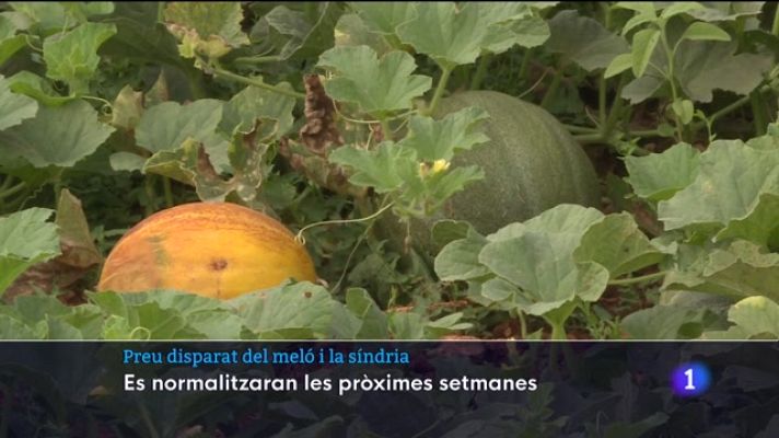 Informatiu Balear - Preu disparat del meló i la síndria
