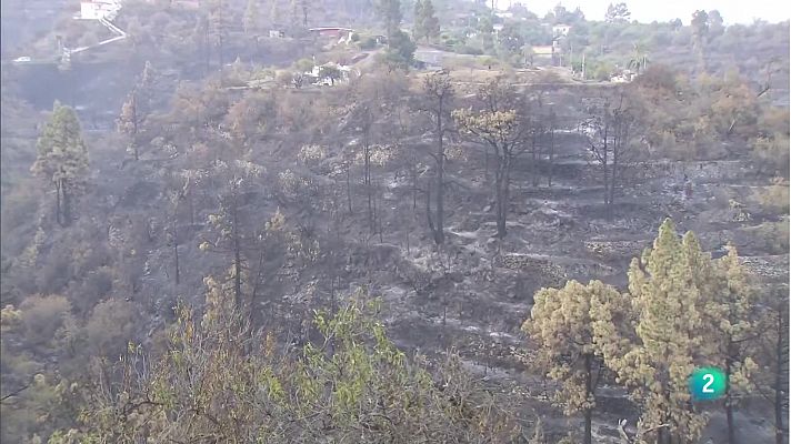 Telecanarias - Telecanarias 2 - 21/07/2023