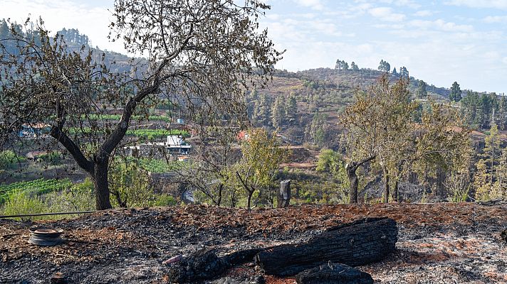 Controlado el incendio de La Palma tras una semana