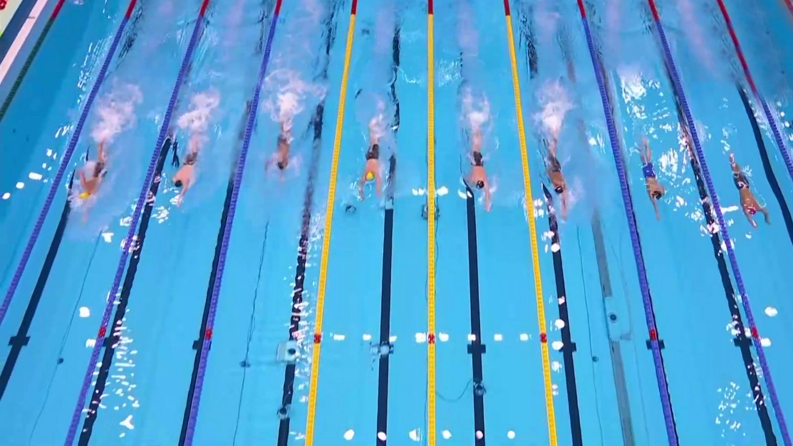 Natación  - Campeonato del Mundo Final 400 Libres masculino y femenino