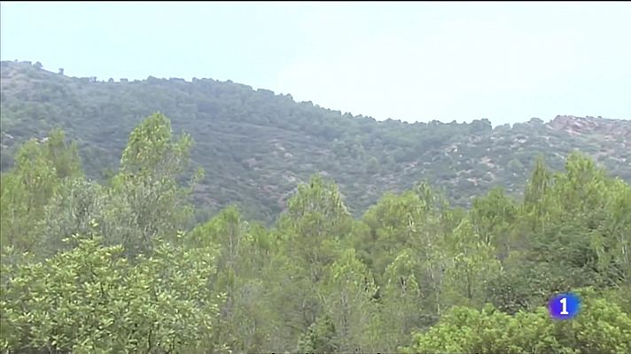 L'informatiu - Comunitat Valenciana - L'Informatiu de la Comunitat Valenciana 2 - 24/07/23