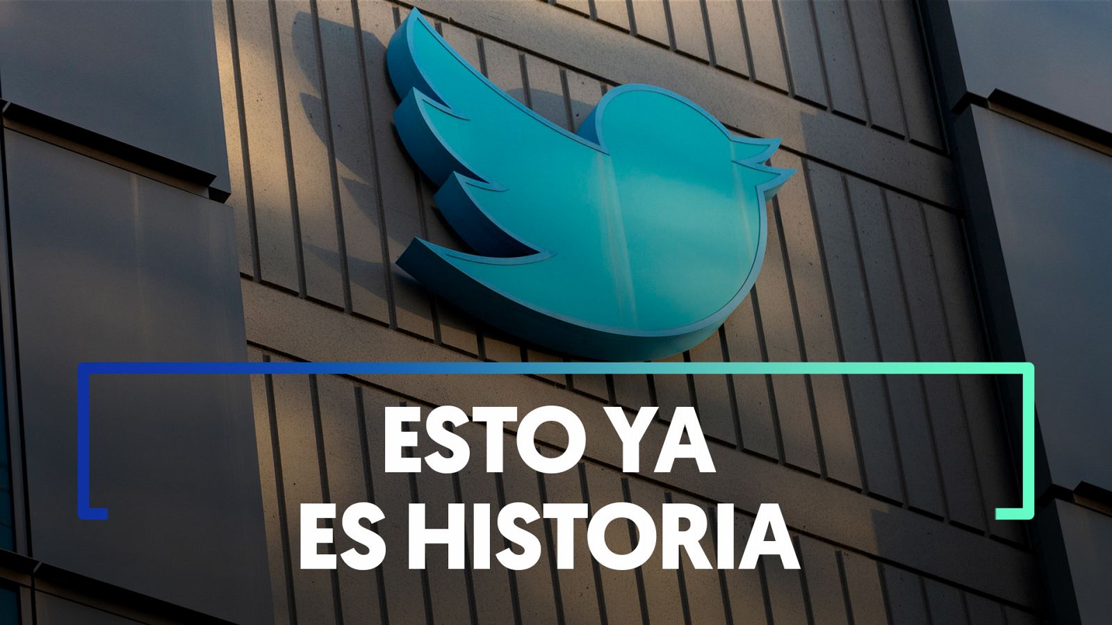 Twitter: Elon Musk anuncia el nuevo nombre y logo de la red social - Modo Digital | Ver