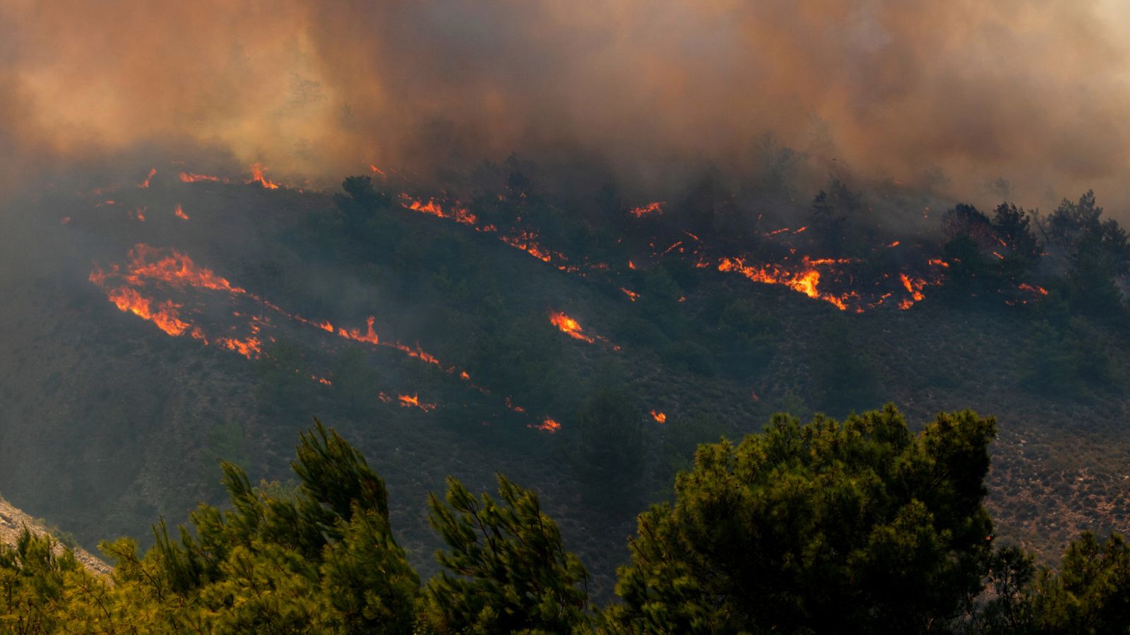 Telediario - 8 horas - 25/07/23 - ver ahora