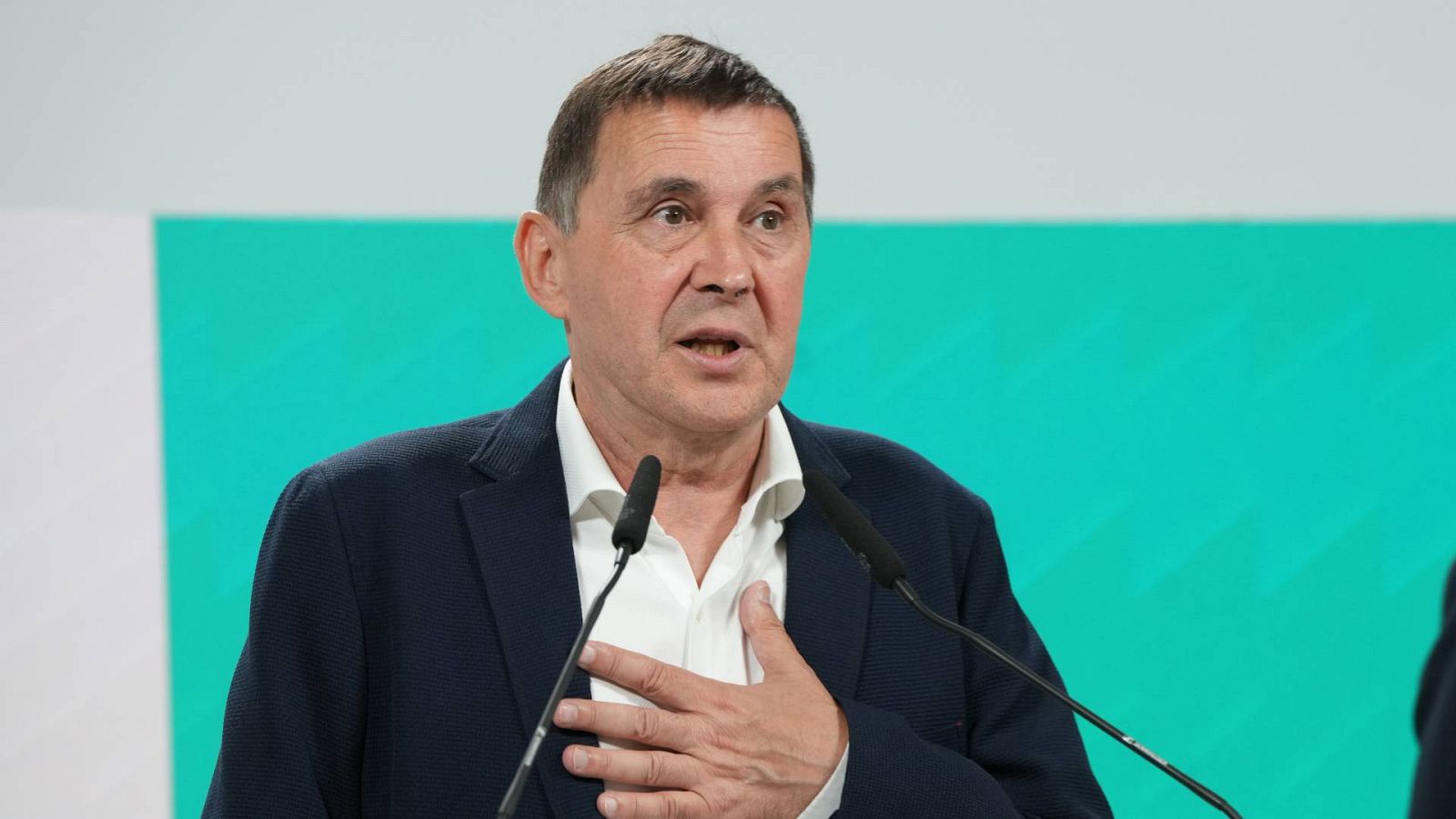 EH Bildu apoyará una investidura de Sánchez para evitar que PP y Vox gobiernen