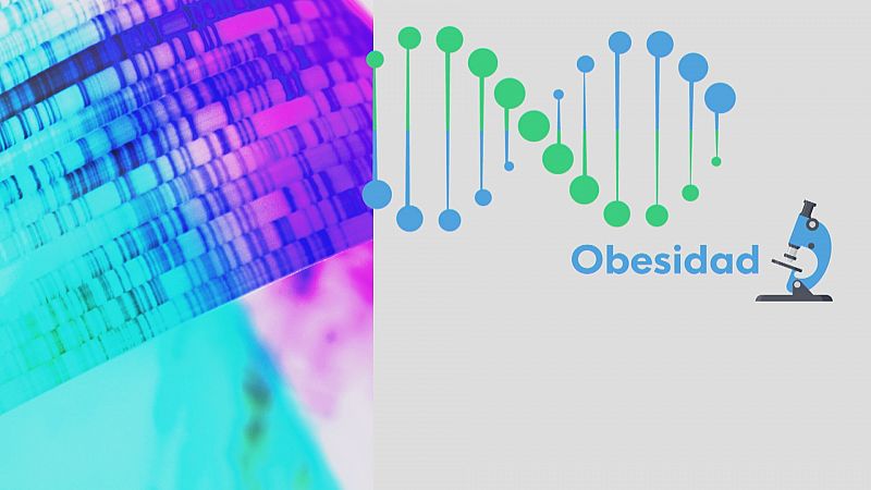 Estudio europeo sobre la obesidad - Ver ahora