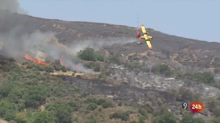 La tarde en 24h - La tarde en 24 horas - 25/07/23