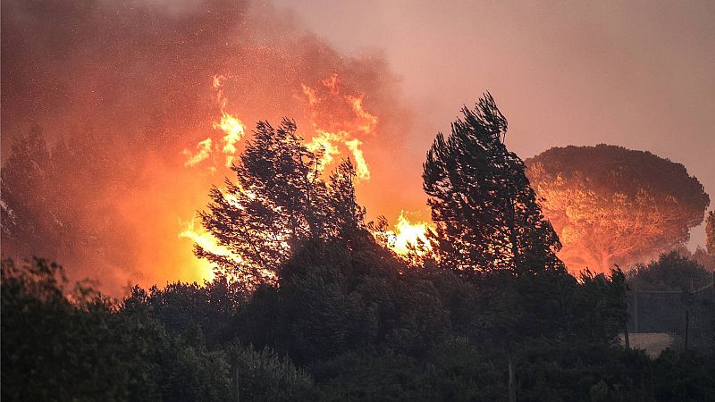 Los incendios continúan expandiéndose en Grecia, Túnez, Argelia, Italia y Portugal