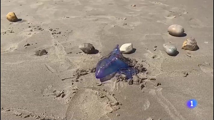 Panorama Regional - Asturias en 2' - 26/07/23