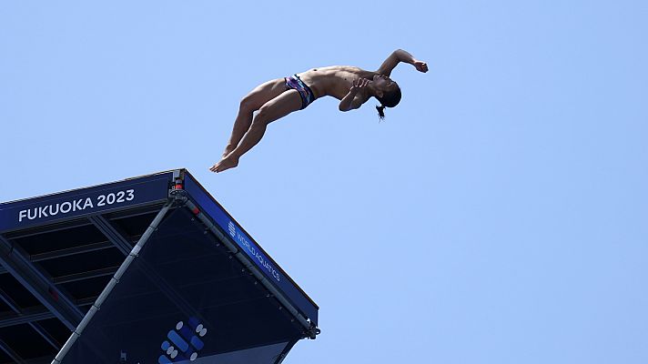 Natación - Saltos High Diving - Campeonato del Mundo. 3ª y 4ª ronda masculina