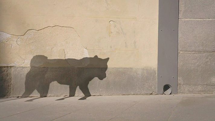  - Contra el abandono de animales